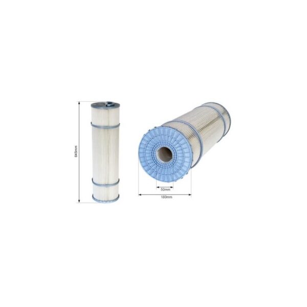 Cartouche filtrante Skimfiltre C6 6.3m2